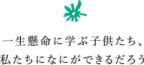 一生懸命に学ぶ子供たち、私たちになにができるだろう